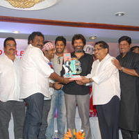Julayi Double Platinum Disc Function Pictures | Picture 253679