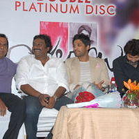 Julayi Double Platinum Disc Function Pictures | Picture 253683