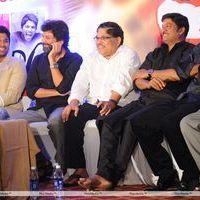 Julayi Double Platinum Disc Function Pictures | Picture 253694