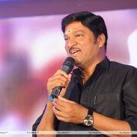 Rajendra Prasad - Julayi Double Platinum Disc Function Pictures | Picture 253716
