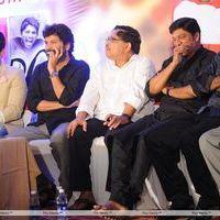 Julayi Double Platinum Disc Function Pictures | Picture 253738