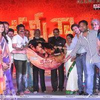 Kamina Movie Audio Release Pictures | Picture 263436