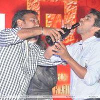 Kamina Movie Audio Release Pictures | Picture 263437