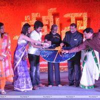 Kamina Movie Audio Release Pictures | Picture 263452