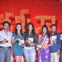 Kamina Movie Audio Release Pictures | Picture 263465