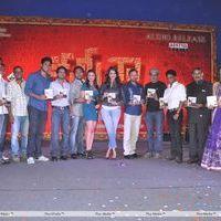 Kamina Movie Audio Release Pictures | Picture 263523