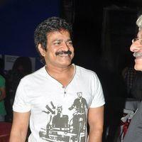 Brahmaji - Kamina Movie Audio Release Pictures | Picture 263390