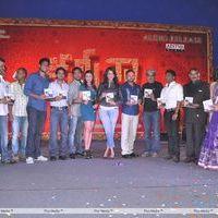 Kamina Movie Audio Release Pictures | Picture 263537