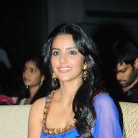 Priya Anand - Ko Ante Koti Movie Audio Launch Pictures | Picture 334970