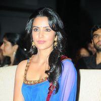 Priya Anand - Ko Ante Koti Movie Audio Launch Pictures | Picture 334972