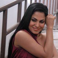 Veena Malik Hot at Hostel Days Audio Launch Pictures | Picture 336163