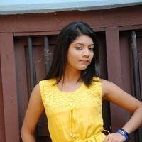 Actress Praksha Sri Stills | Picture 345646