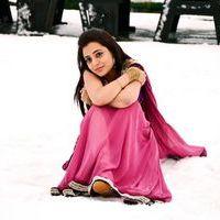 Nisha Agarwal - Sukumarudu Movie Stills | Picture 346542
