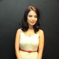 Adonika Stills at Aravind 2 Audio Launch | Picture 350254
