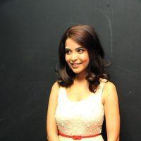 Adonika Stills at Aravind 2 Audio Launch | Picture 350255