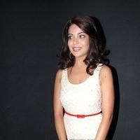 Adonika Stills at Aravind 2 Audio Launch | Picture 350262