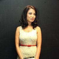 Adonika Stills at Aravind 2 Audio Launch | Picture 350306