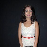 Adonika Stills at Aravind 2 Audio Launch | Picture 350307