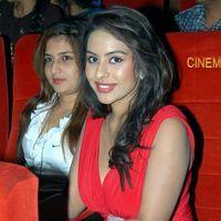 Srilekha at Aravind 2 Audio Launch Pictures | Picture 350096