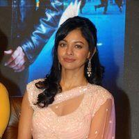 Pooja Kumar at Vishwaroopam Audio Launch Pictures | Picture 352620