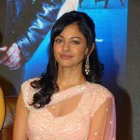 Pooja Kumar at Vishwaroopam Audio Launch Pictures | Picture 352621