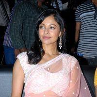 Pooja Kumar at Vishwaroopam Audio Launch Pictures | Picture 352622