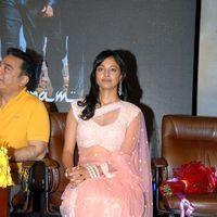 Pooja Kumar at Vishwaroopam Audio Launch Pictures | Picture 352623