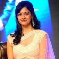 Pooja Kumar at Vishwaroopam Audio Launch Pictures | Picture 352624