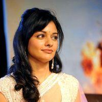 Pooja Kumar at Vishwaroopam Audio Launch Pictures | Picture 352625