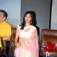 Pooja Kumar at Vishwaroopam Audio Launch Pictures | Picture 352781