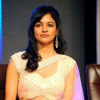 Pooja Kumar at Vishwaroopam Audio Launch Pictures | Picture 352785