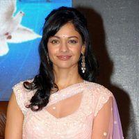 Pooja Kumar at Vishwaroopam Audio Launch Pictures | Picture 352788