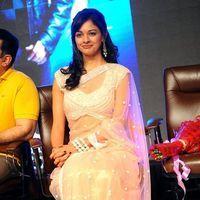 Pooja Kumar at Vishwaroopam Audio Launch Pictures | Picture 352792