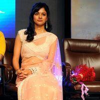 Pooja Kumar at Vishwaroopam Audio Launch Pictures | Picture 352796