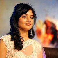 Pooja Kumar at Vishwaroopam Audio Launch Pictures | Picture 352797