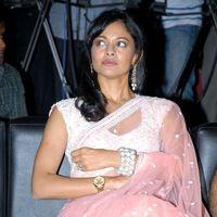 Pooja Kumar at Vishwaroopam Audio Launch Pictures | Picture 352799