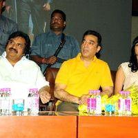 Viswaroopam Telugu Movie Audio Launch Pictures | Picture 352280