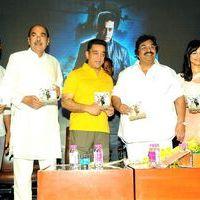 Viswaroopam Telugu Movie Audio Launch Pictures | Picture 352376