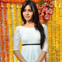 Samantha Ruth Prabhu - Siddharth & Samantha New Movie Opening Pictures | Picture 159723