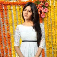 Samantha Ruth Prabhu - Siddharth & Samantha New Movie Opening Pictures | Picture 159744