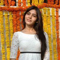 Samantha Ruth Prabhu - Siddharth & Samantha New Movie Opening Pictures | Picture 159745