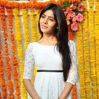 Samantha Ruth Prabhu - Siddharth & Samantha New Movie Opening Pictures | Picture 159749