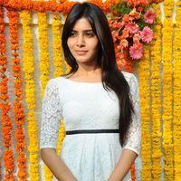 Samantha Ruth Prabhu - Siddharth & Samantha New Movie Opening Pictures | Picture 159772