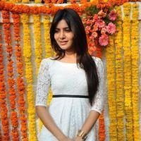 Samantha Ruth Prabhu - Siddharth & Samantha New Movie Opening Pictures | Picture 159776