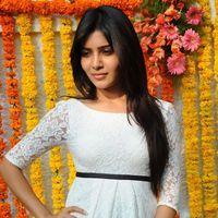 Samantha Ruth Prabhu - Siddharth & Samantha New Movie Opening Pictures | Picture 159824