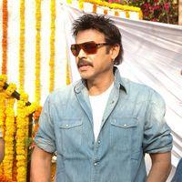 Venkatesh - Siddharth & Samantha New Movie Opening Pictures | Picture 159629