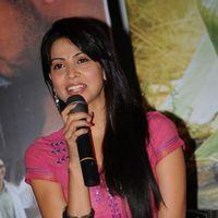 Supriya Shailaja at Rushi Movie Press Meet - Pictures | Picture 160741