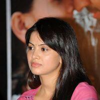 Supriya Shailaja at Rushi Movie Press Meet - Pictures | Picture 160745
