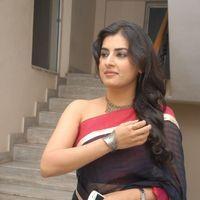 Archana Veda at Kullu Manali Audio Launch Pictures | Picture 162329
