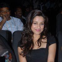 Madhurima Stills at Vennela One and Half Movie Audio Launch | Picture 162561